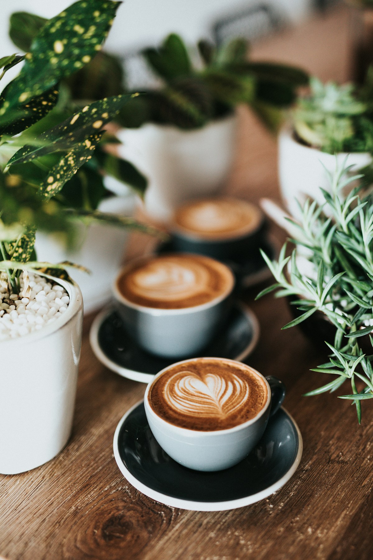 Taza humeante de café Isleo
